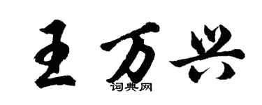 胡问遂王万兴行书个性签名怎么写
