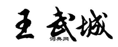 胡问遂王武城行书个性签名怎么写
