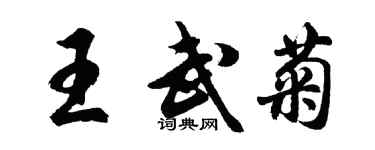 胡问遂王武菊行书个性签名怎么写