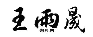 胡问遂王雨晟行书个性签名怎么写
