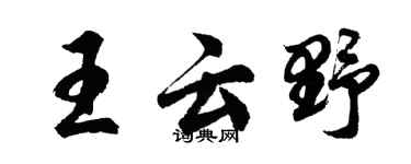 胡问遂王云野行书个性签名怎么写