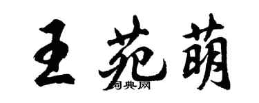 胡问遂王苑萌行书个性签名怎么写