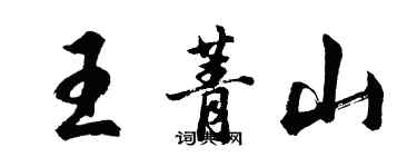胡问遂王菁山行书个性签名怎么写