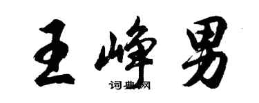 胡问遂王峥男行书个性签名怎么写