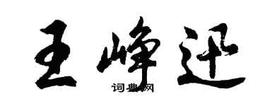 胡问遂王峥迅行书个性签名怎么写