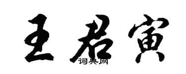 胡问遂王君寅行书个性签名怎么写