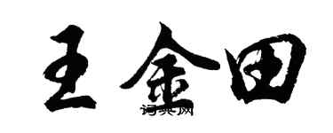 胡问遂王金田行书个性签名怎么写