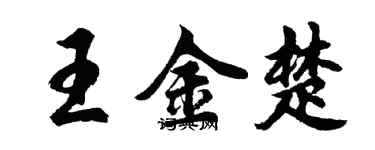 胡问遂王金楚行书个性签名怎么写