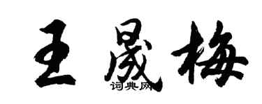 胡问遂王晟梅行书个性签名怎么写