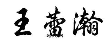 胡问遂王蕾瀚行书个性签名怎么写