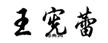 胡问遂王宪蕾行书个性签名怎么写