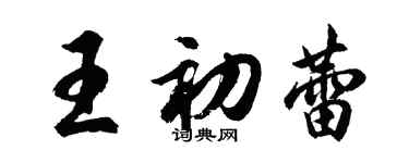 胡问遂王初蕾行书个性签名怎么写