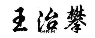 胡问遂王治攀行书个性签名怎么写