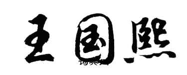 胡问遂王国熙行书个性签名怎么写