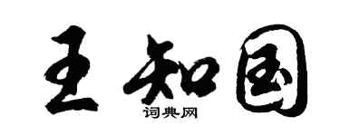 胡问遂王知国行书个性签名怎么写