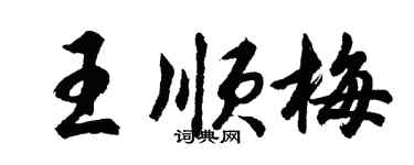 胡问遂王顺梅行书个性签名怎么写