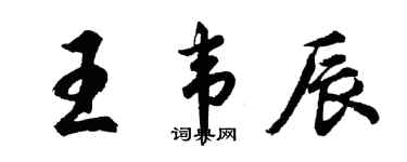 胡问遂王韦辰行书个性签名怎么写