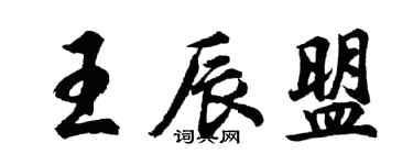 胡问遂王辰盟行书个性签名怎么写