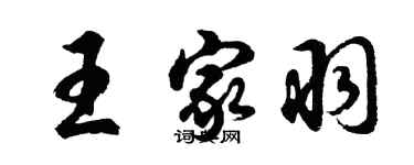 胡问遂王家羽行书个性签名怎么写