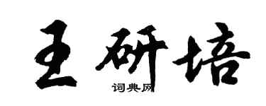 胡问遂王研培行书个性签名怎么写