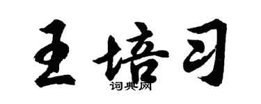 胡问遂王培习行书个性签名怎么写