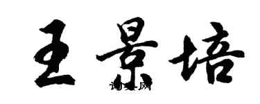 胡问遂王景培行书个性签名怎么写