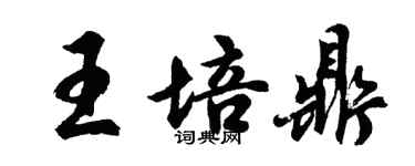 胡问遂王培鼎行书个性签名怎么写