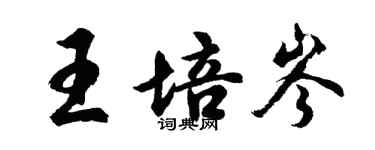胡问遂王培岑行书个性签名怎么写
