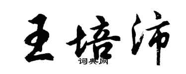 胡问遂王培沛行书个性签名怎么写