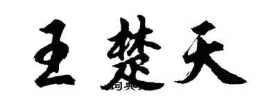 胡问遂王楚天行书个性签名怎么写