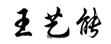 胡问遂王艺能行书个性签名怎么写