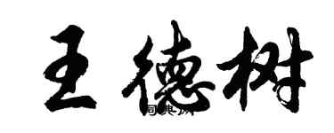 胡问遂王德树行书个性签名怎么写