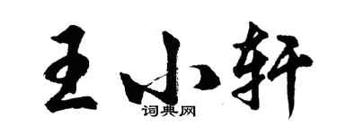 胡问遂王小轩行书个性签名怎么写