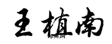 胡问遂王植南行书个性签名怎么写