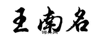 胡问遂王南名行书个性签名怎么写