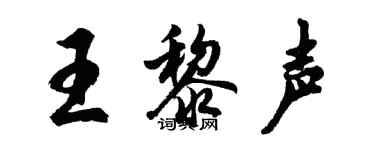 胡问遂王黎声行书个性签名怎么写