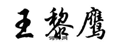 胡问遂王黎鹰行书个性签名怎么写
