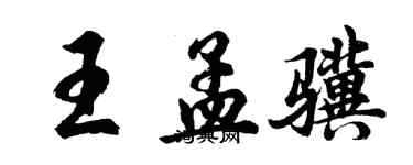 胡问遂王孟骥行书个性签名怎么写