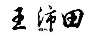 胡问遂王沛田行书个性签名怎么写