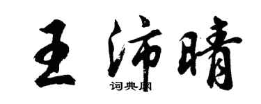 胡问遂王沛晴行书个性签名怎么写