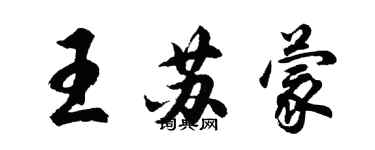 胡问遂王苏蒙行书个性签名怎么写
