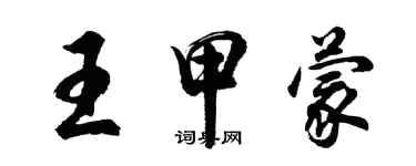 胡问遂王甲蒙行书个性签名怎么写