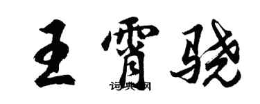 胡问遂王霄骁行书个性签名怎么写