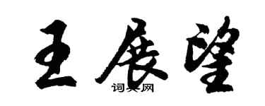 胡问遂王展望行书个性签名怎么写
