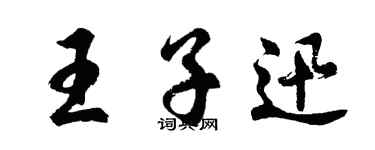 胡问遂王子迅行书个性签名怎么写