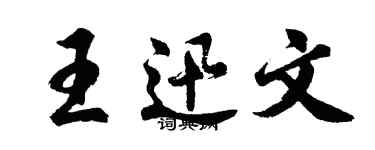 胡问遂王迅文行书个性签名怎么写