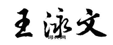 胡问遂王泳文行书个性签名怎么写
