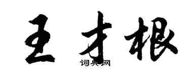 胡问遂王才根行书个性签名怎么写