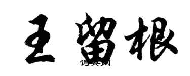 胡问遂王留根行书个性签名怎么写