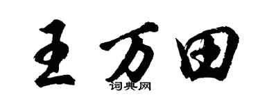胡问遂王万田行书个性签名怎么写